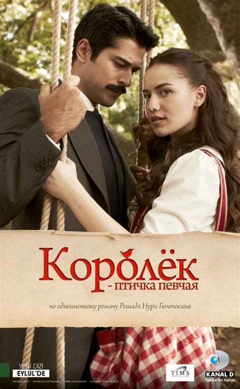 Королёк – птичка певчая | Сериалы, Книги, Фильмы