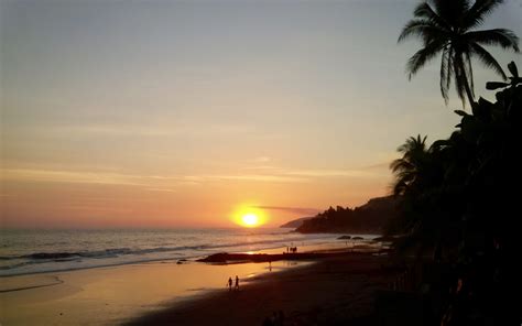 Scenics Nature Plant Sky Tranquil Scene Water Sea Palm Tree