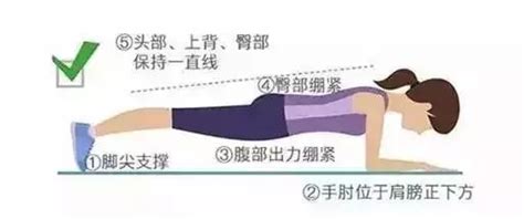 你真的会平板支撑吗？ 科普基地 华南师范大学体育科学学院