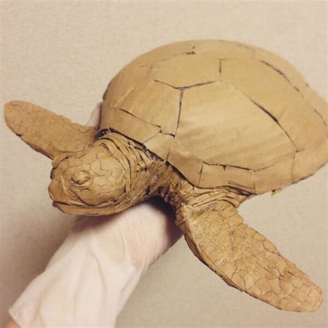 Turtle Cardboard Crafts For Kids Kids Art And Craft