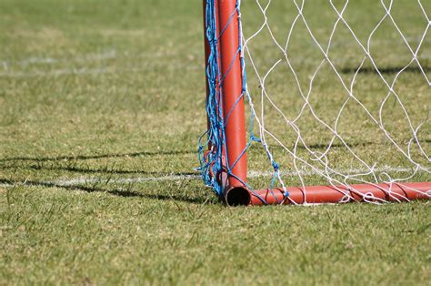 Banco de imagens grama gramado jogos estádio jogador Esportes