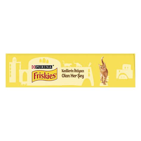 Friskies Yetişkin Kümes Hayvan Kuru Kedi Maması 300 G Migros