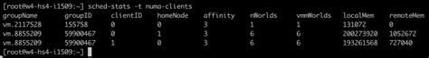 Vsphere Cpu Topology For Large Memory Footprint Vms Exceeding Numa