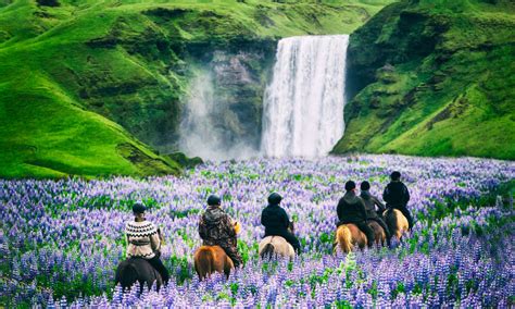 Cheap Flights to Iceland: Fly to Reykjavik for $340 Round-Trip - Thrillist