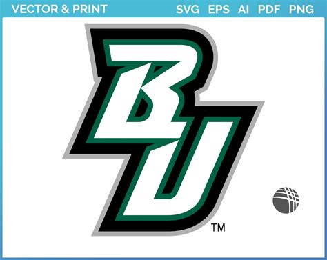 Binghamton Bearcats - Alternate Logo (2001) - College Sports Vector SVG ...