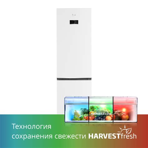 Холодильник Beko B3DRCNK402HW - купить по цене производителя - интернет ...