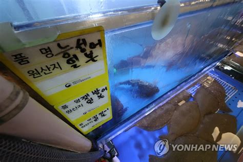 후쿠시마 원전 사고 후 4년 만에 일본 어패류 수입 67 감소 연합뉴스