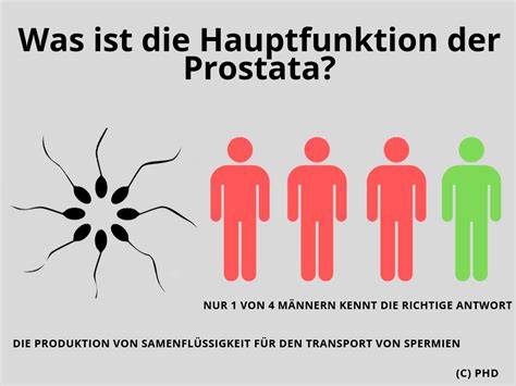 Prostata Nur Jeder Vierte Mann Kennt Sich Aus