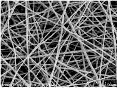 一种柔性自支撑多孔碳纳米纤维电极的制备方法及其应用与流程