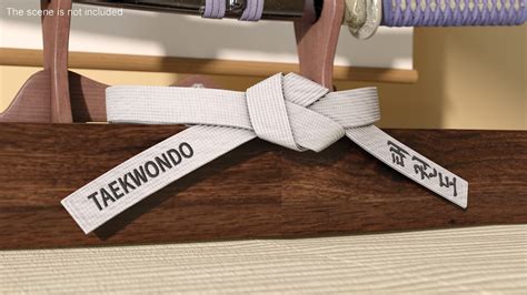 3D model White Waist Taekwondo Belt Obi - TurboSquid 2134129