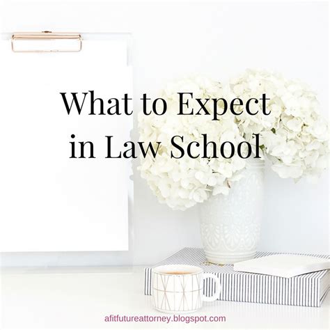 What To Expect In Law School