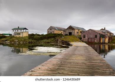 Weddell Island Falkland Islands Circa January Stock Photo (Edit Now) 1246430689