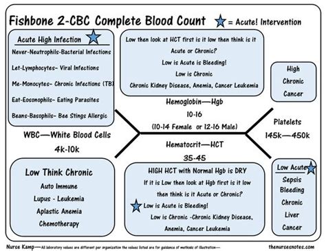 This Is The 2nd Fishbone Overview Of The Cbc Complete Blood Count