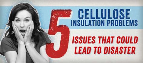 Cellulose Insulation Problems: 5 Issues that Could Lead to Disaster