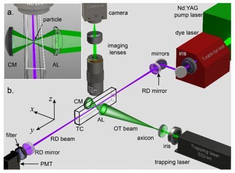 Micromachines Free Full Text Optical Trapping Laser Techniques For