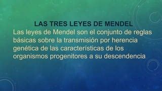 Las Tres Leyes De Mendel Ppt