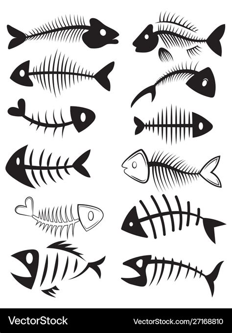 Set Silhouettes Fish Skeletons Collection Vector Image