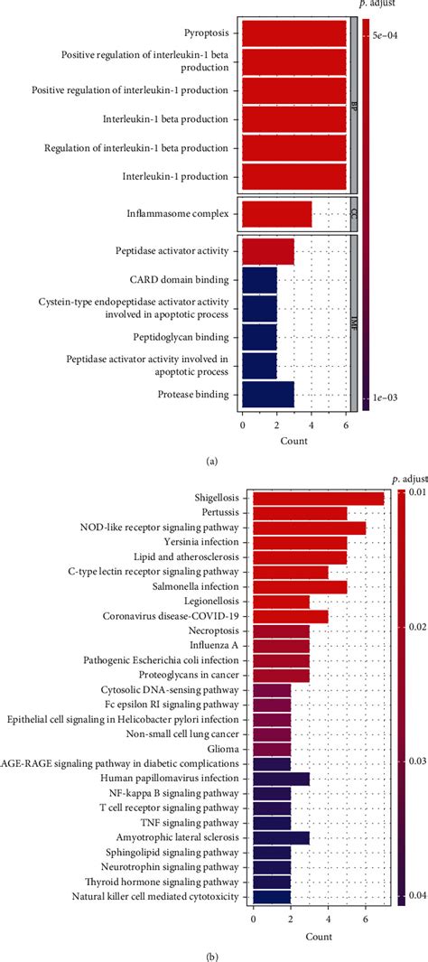 Development Of A Prognostic Model Based On Pyroptosis Related Genes In