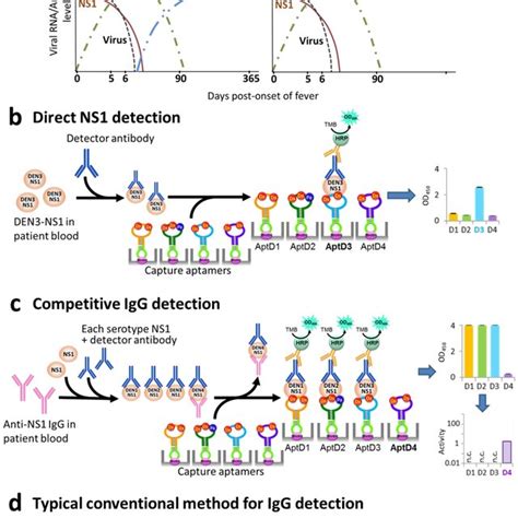 Dengue Diagnostics Using Elisa Formats A Schematic Illustration Of