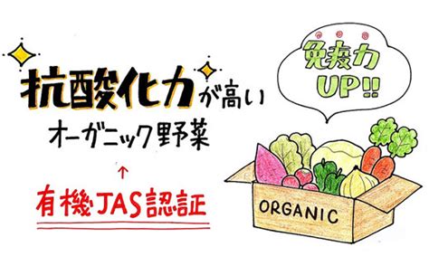 1586 野菜 オーガニック 野菜セット おためしⅯ 旬の有機野菜 7～9袋 毎月1回 計12回お届け 定期便 しあわせ野菜畑 静岡県掛川