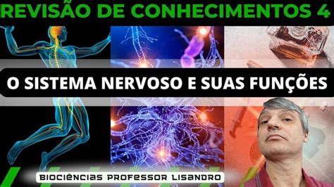 Revisão De Conhecimentos 4 O Sistema Nervoso E Suas Funções