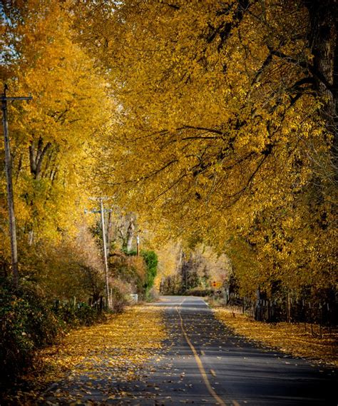 Here’s when and where fall foliage colors peak in Oregon in 2023 ...