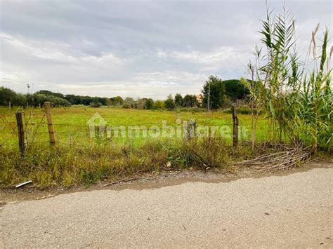 Terreno Agricolo Contrada Viscardi Lamezia Terme Rif 100218620