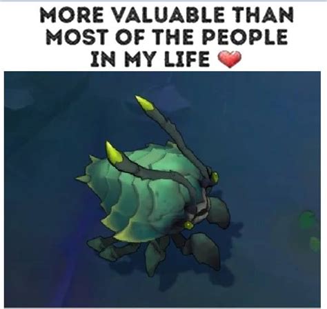 Yeet another scuttle meme (help me reach 3 frontpage memes thanks) : r ...