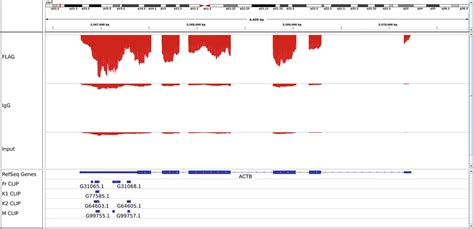 Identifying Rbp Targets With Rip Seq Rna Seq Blog