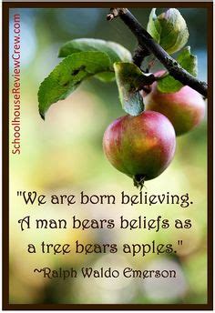 we are born believing . . . #quotes #wordart #inspiration Girls Are Like Apples, Girls Be Like ...