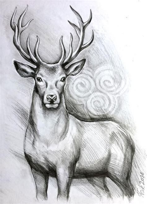 Animals Easy Deer Pencil Drawing - bmp-clown