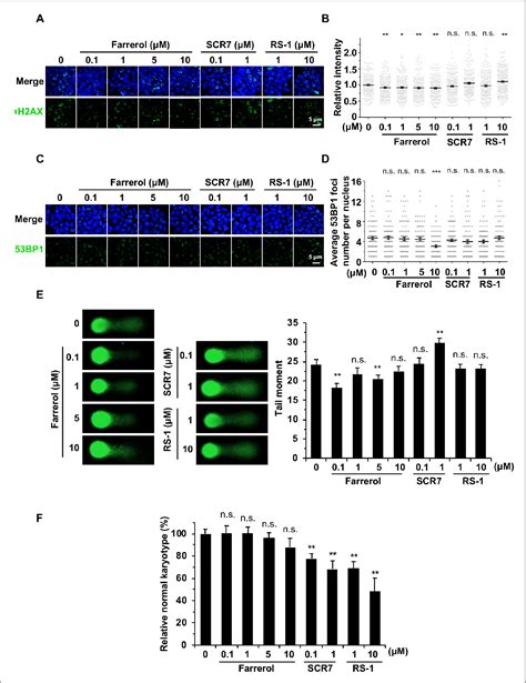 Figure From A High Throughput Small Molecule Screen Identifies