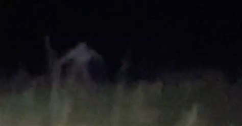 Horrifying Moment Skinwalker Leaps Out Of Long Grass And Runs Towards