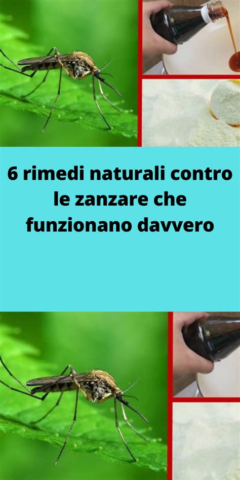 6 Rimedi Naturali Contro Le Zanzare Che Funzionano Davvero Rimedi