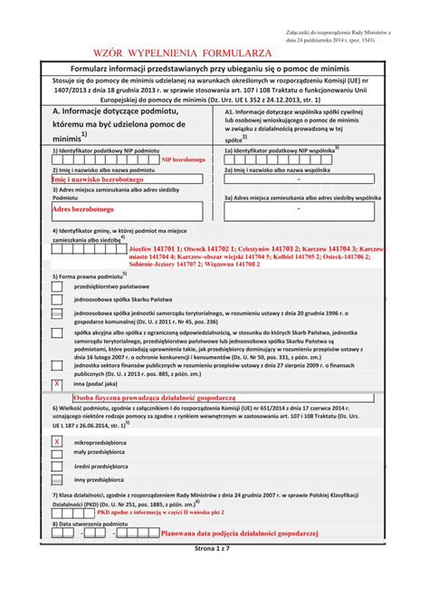 PDF WZÓR WYPEŁNIENIA FORMULARZA DOKUMEN TIPS