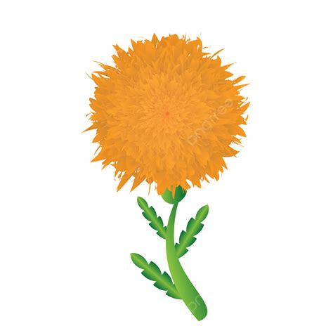 Marigold Flower With Stem And Leaves Clipart Vector, Marigold Flower, Sunflower, Flower PNG and ...