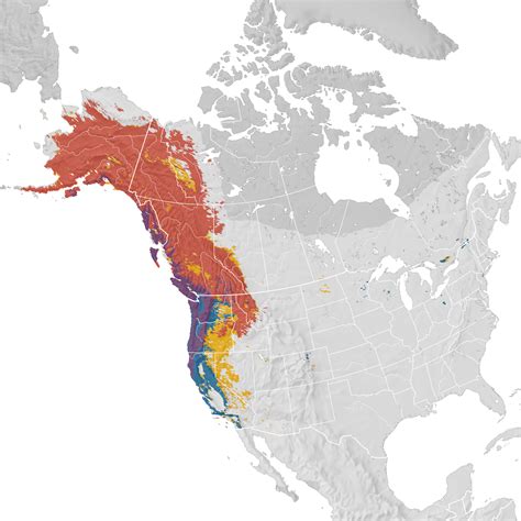 Varied Thrush Range Map Ebird Status And Trends