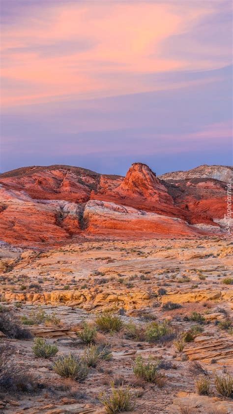 Park Stanowy Valley Of Fire W Nevadzie Tapeta Na Telefon