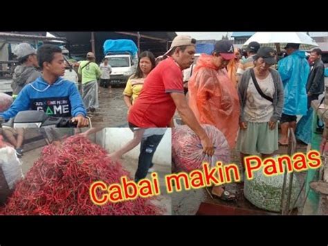 Maret Info Harga Cabai Tomat Kol Kentang Pajak Tigapanah