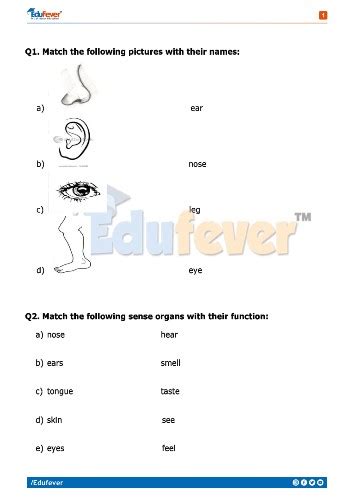 Worksheet For Ukg Evs Worksheet For Ukg Evs Travis Gilbertoe 1380 The Best Porn Website