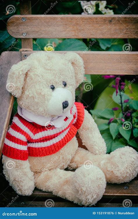 Teddy Bear Sitting on the Chair - Vintage Style Stock Photo - Image of ...