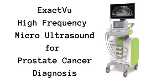 Exactvu Prostate Ultrasound Imaging High Resolution Prostate