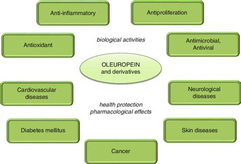 2 Biological And Pharmacological Effects Of Oleuropein And Derivatives