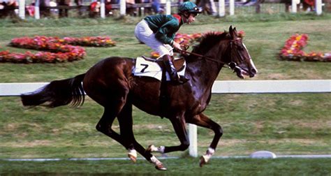 Shergar: The Wonder Horse Whose Kidnapping Shocked the World