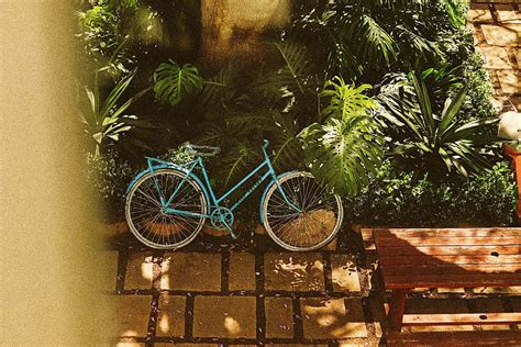 SENORINA 2022 | The year of growth by Nerina Residence | Media - Issuu