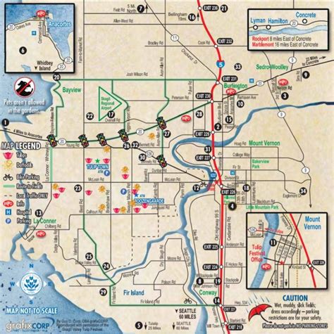 Skagit Valley Tulip Festival Map - Corie Shandy