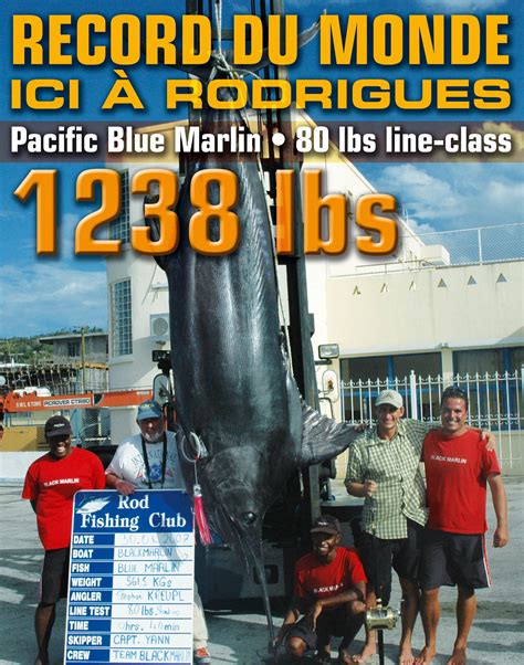 World Record Blue Marlin