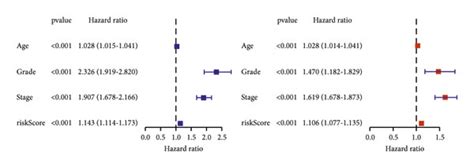 Development And Validation Of Prognostic Nomogram Ab Forest Plots