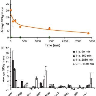 A Blood Circulation Profile Of 11a And Free CPT Given As The