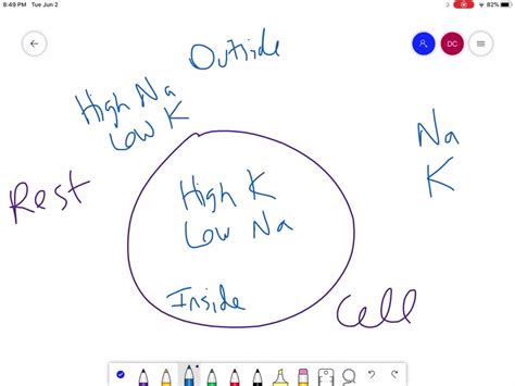 SOLVED:In comparison with the intracellular fluid, the extracellular ...